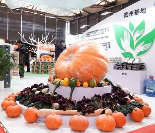 2019第六屆上海國際現(xiàn)代農(nóng)業(yè)品牌暨特色優(yōu)質(zhì)農(nóng)產(chǎn)品貿(mào)易博覽會綜述 農(nóng)產(chǎn)品貿(mào)易新機遇