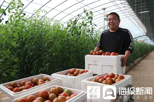 用地標性農(nóng)產(chǎn)品打造莘縣高端精致農(nóng)業(yè)名片