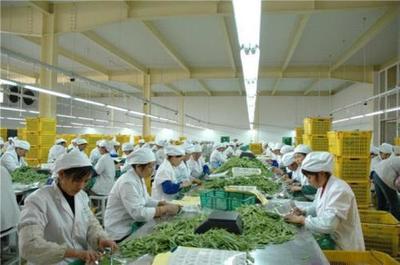 農產品深加工 解鎖農業價值鏈潛力的關鍵領域