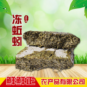 蚯蚓產(chǎn)業(yè)全解析 從養(yǎng)殖到市場的綠色經(jīng)濟(jì)之路